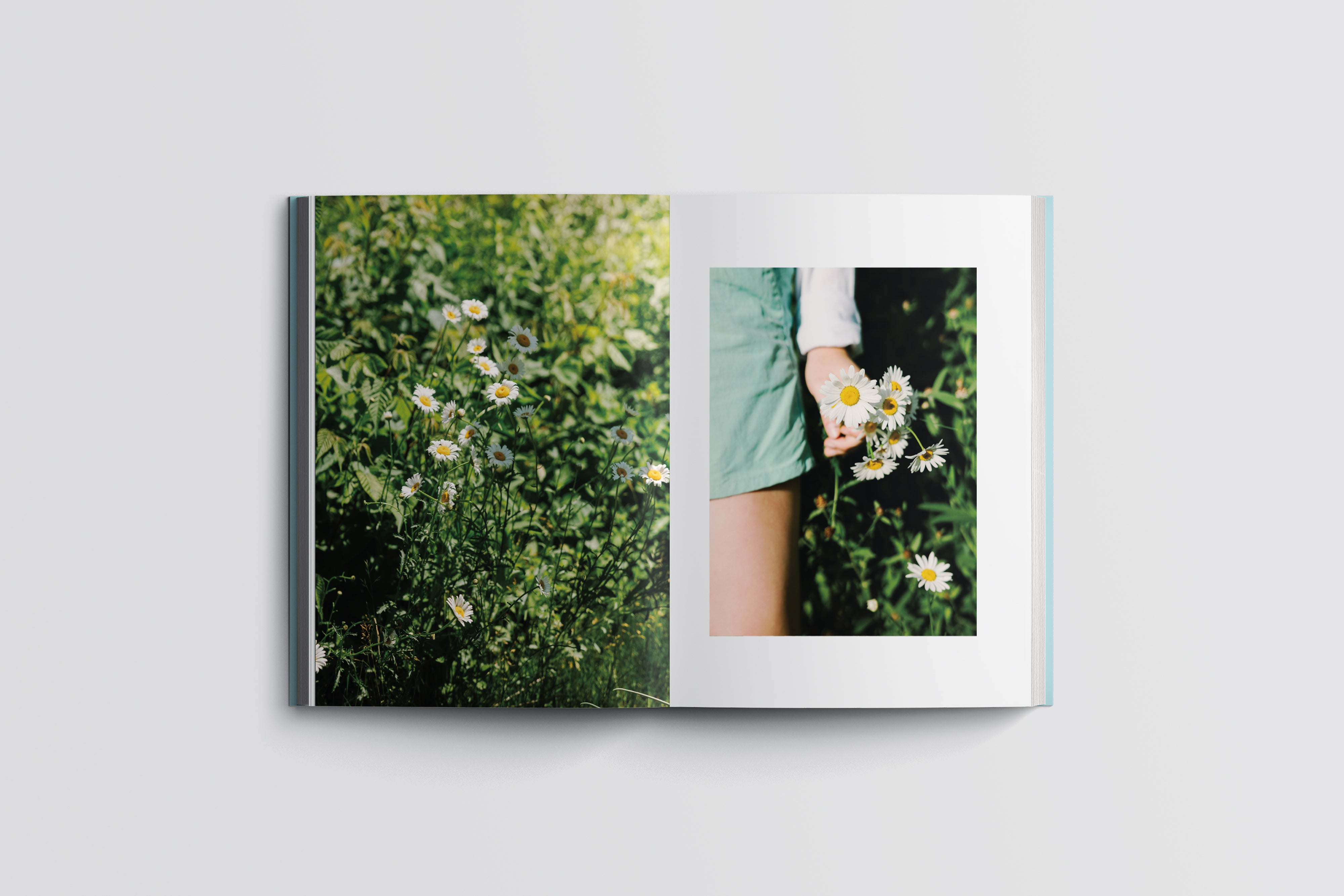 Livre - Abondance