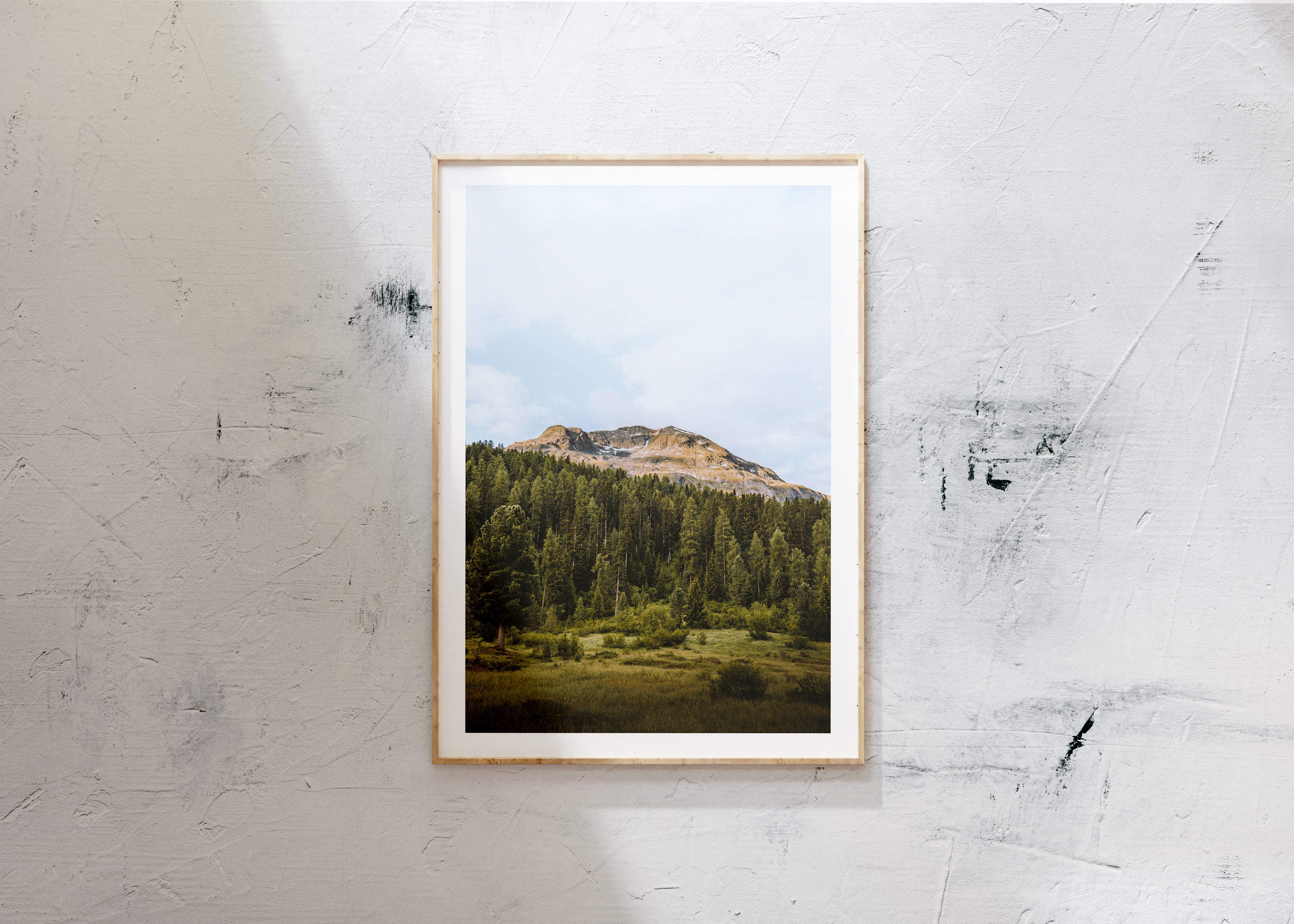 Poster - Engadine
