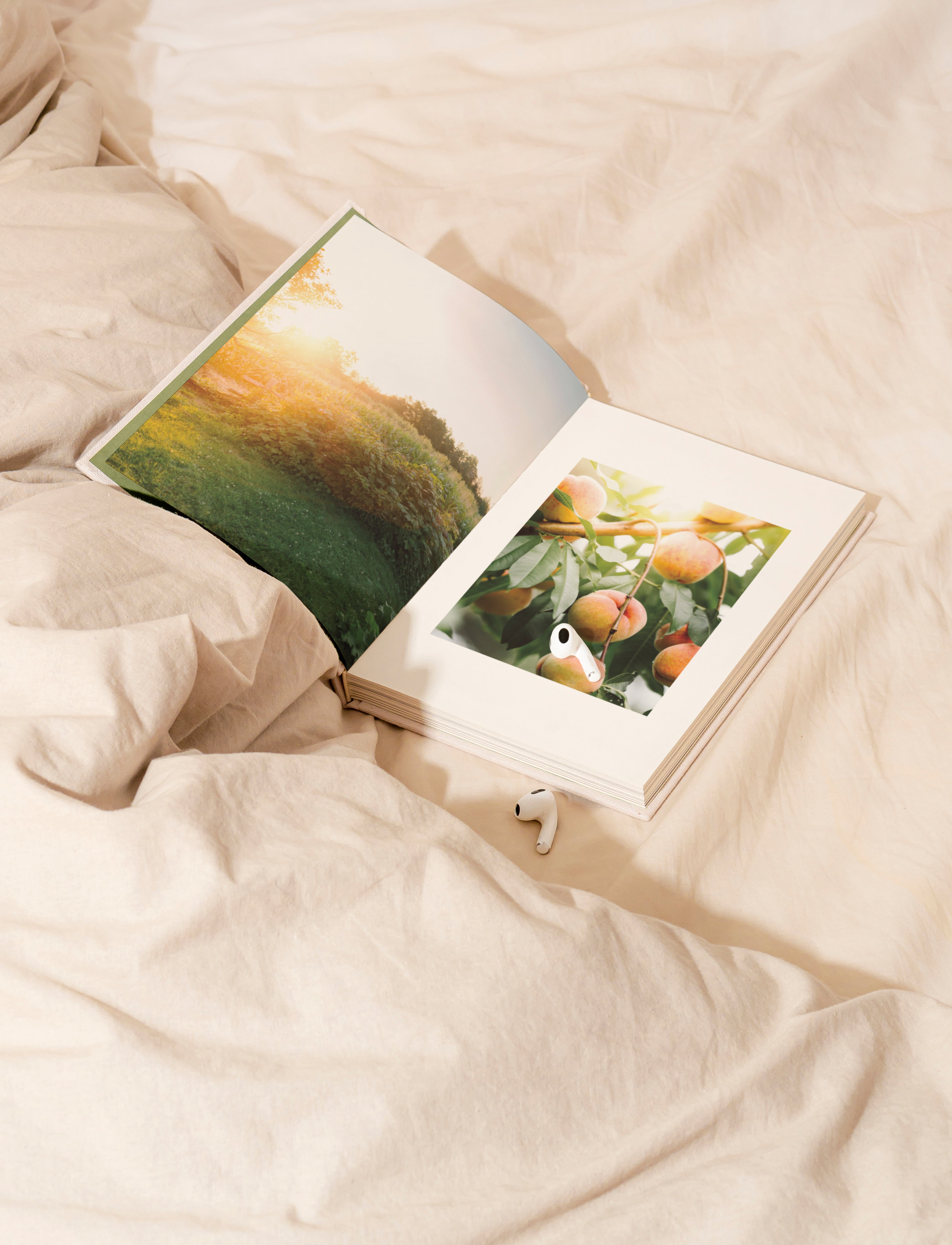 Livre - Abondance