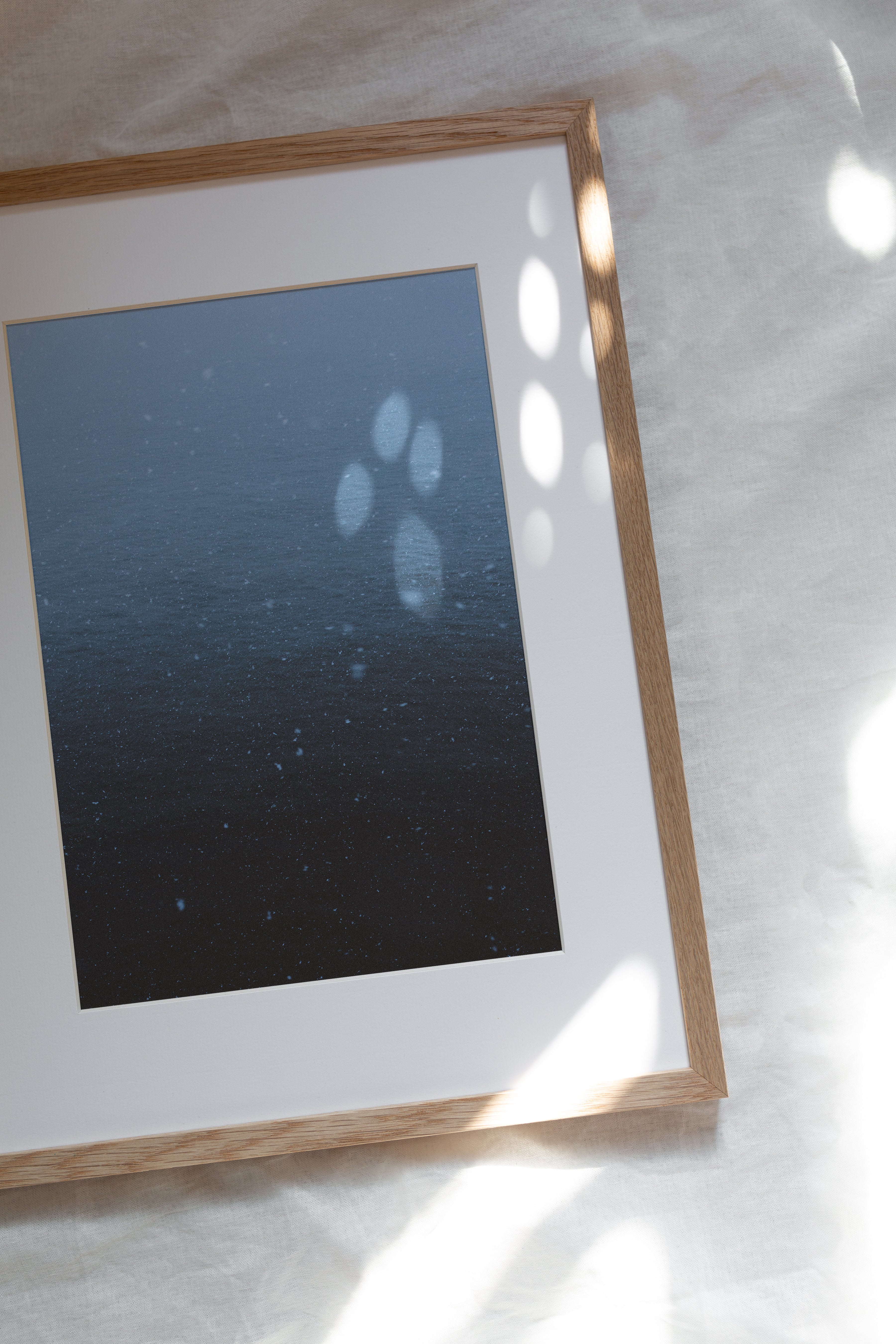 Poster - Weightlessness