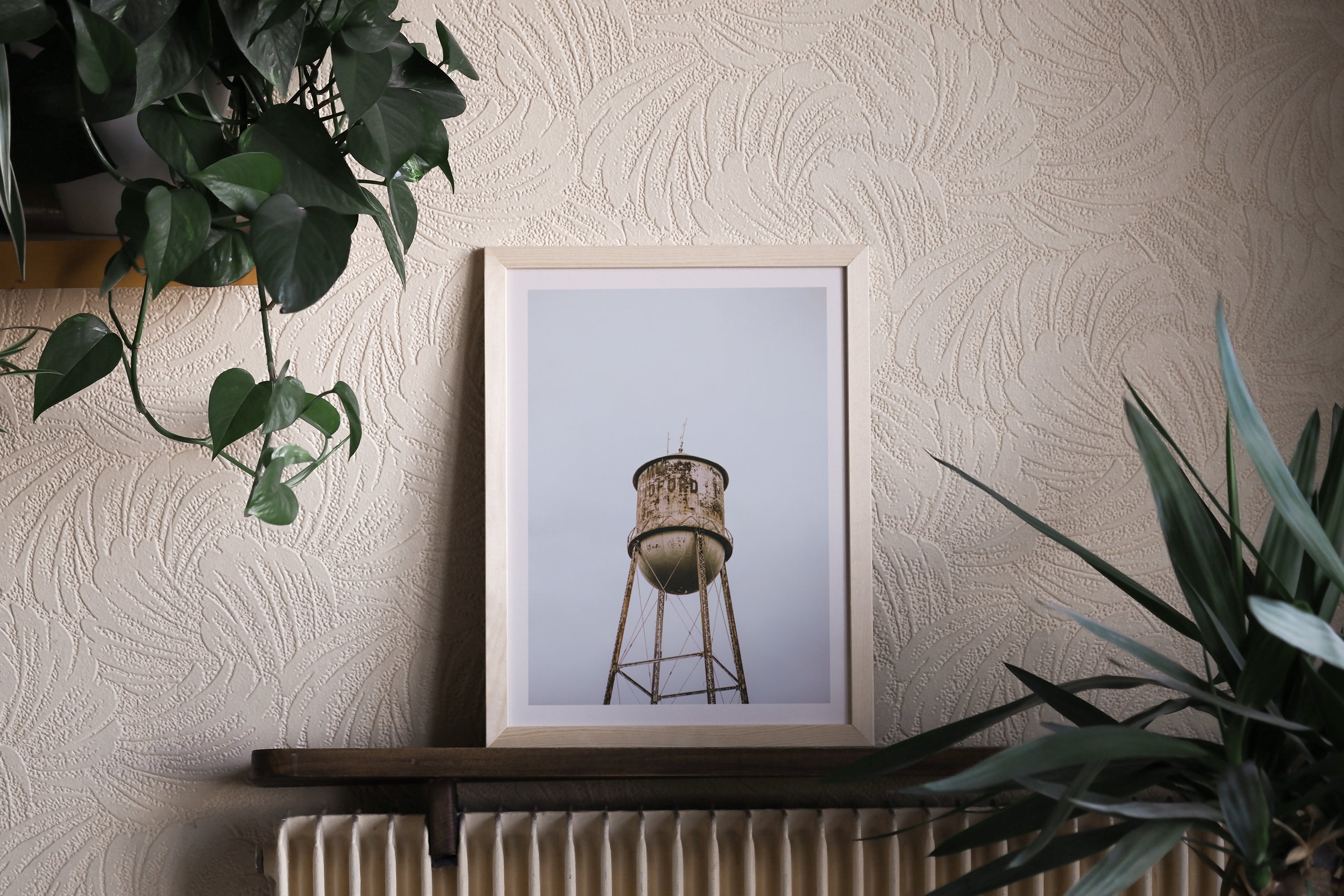 Display shelf - Bedford