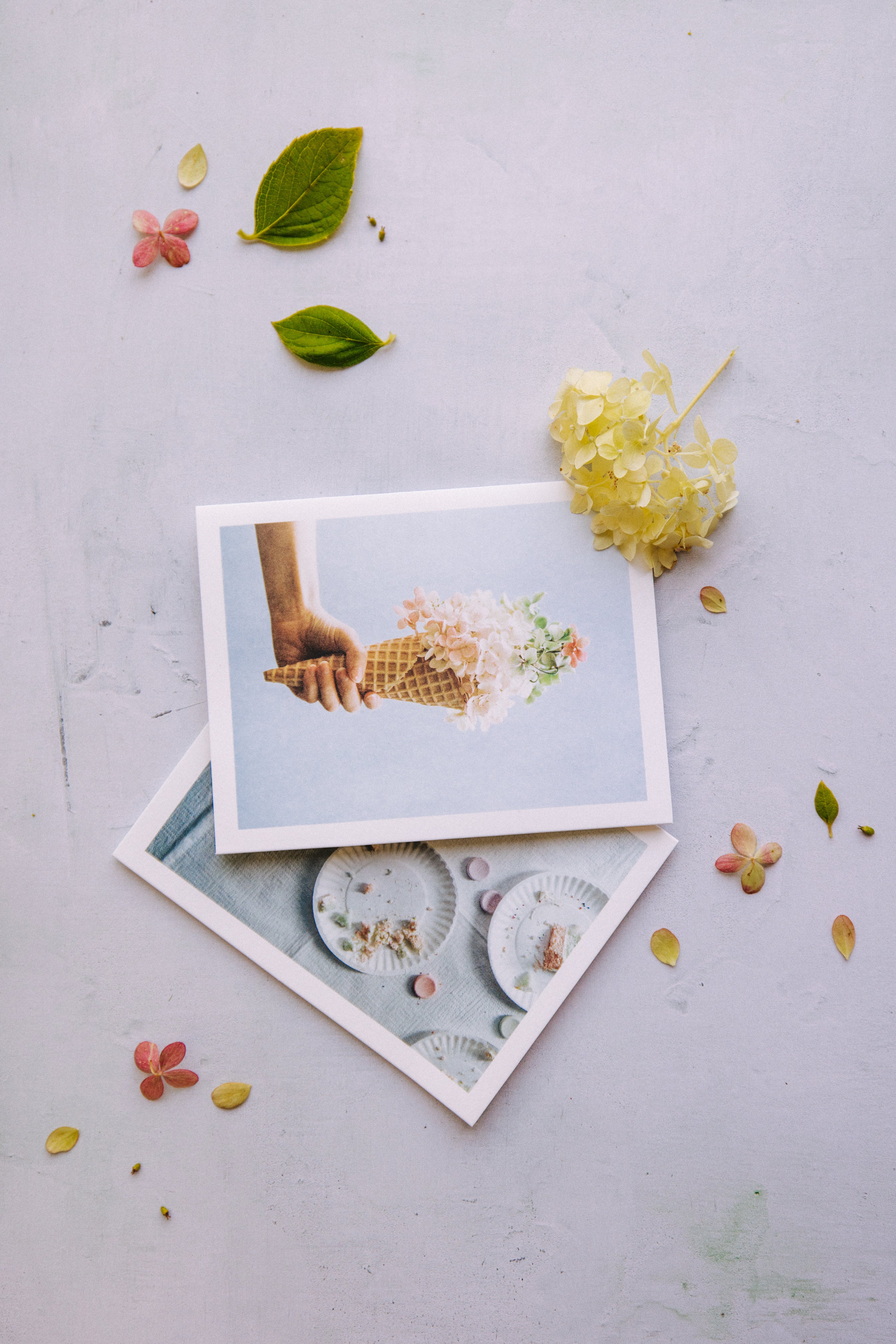 Printed surface - Spring