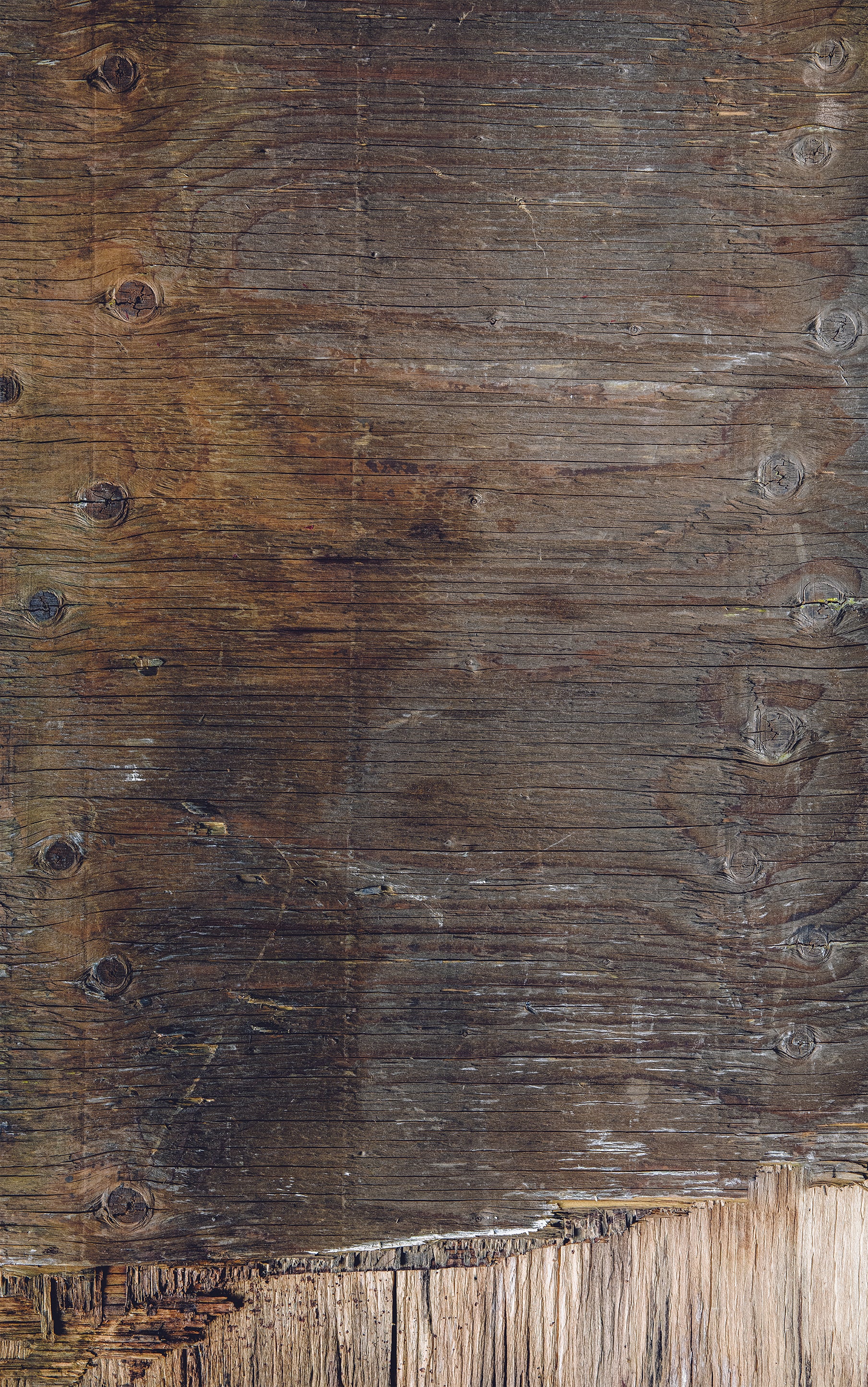 Printed surface - Rustic