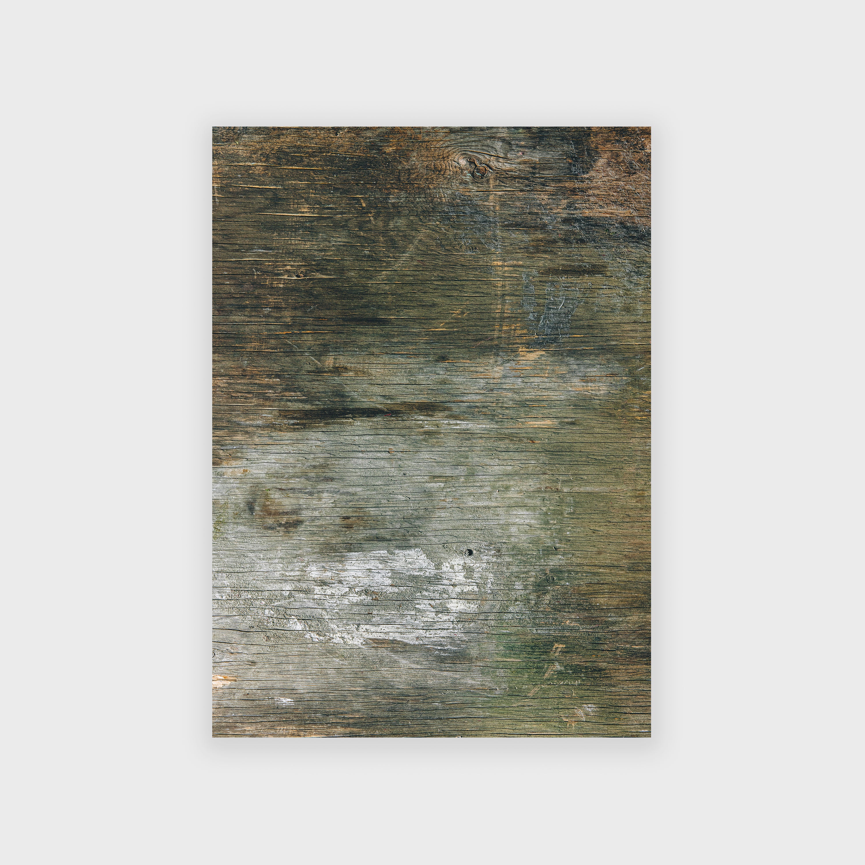 Printed area - Harvest