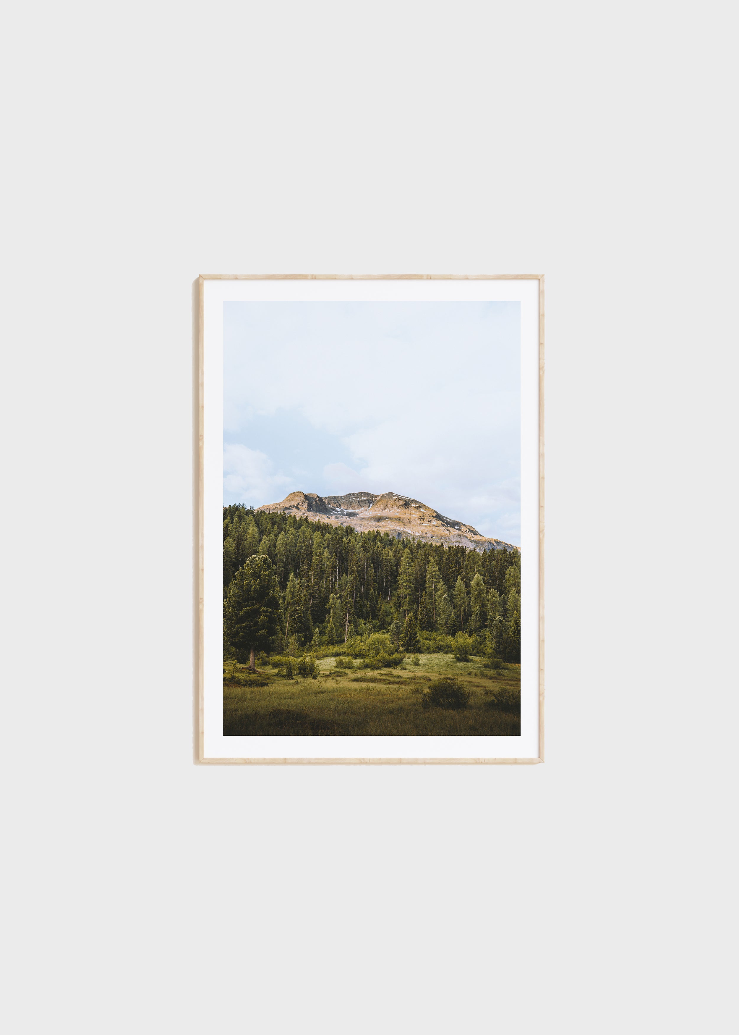 Poster - Engadine