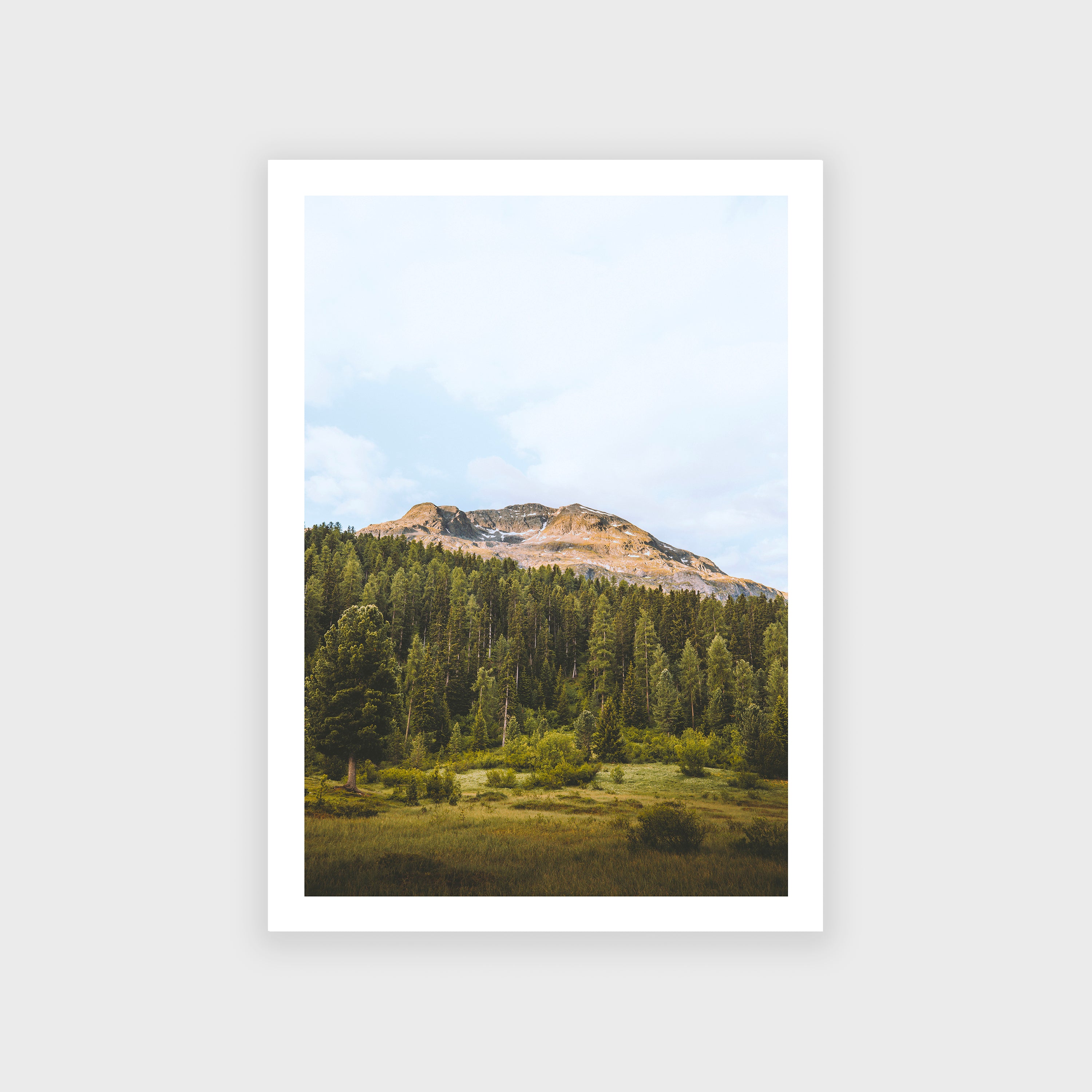 Poster - Engadine